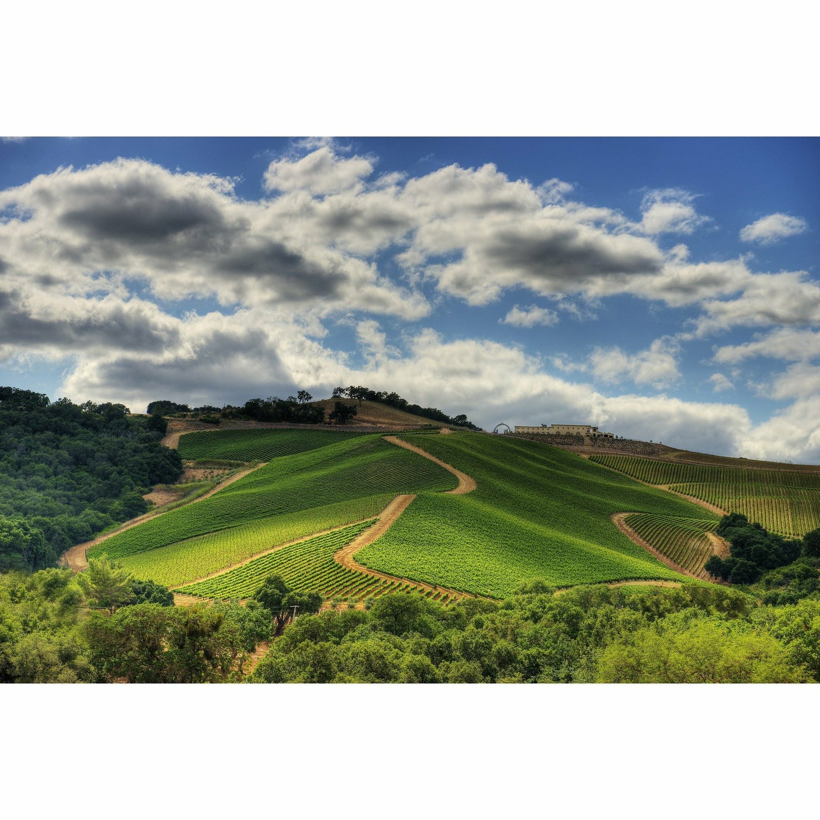 Daou - Discovery Cabernet Sauvignon - Paso Robles - Image 2